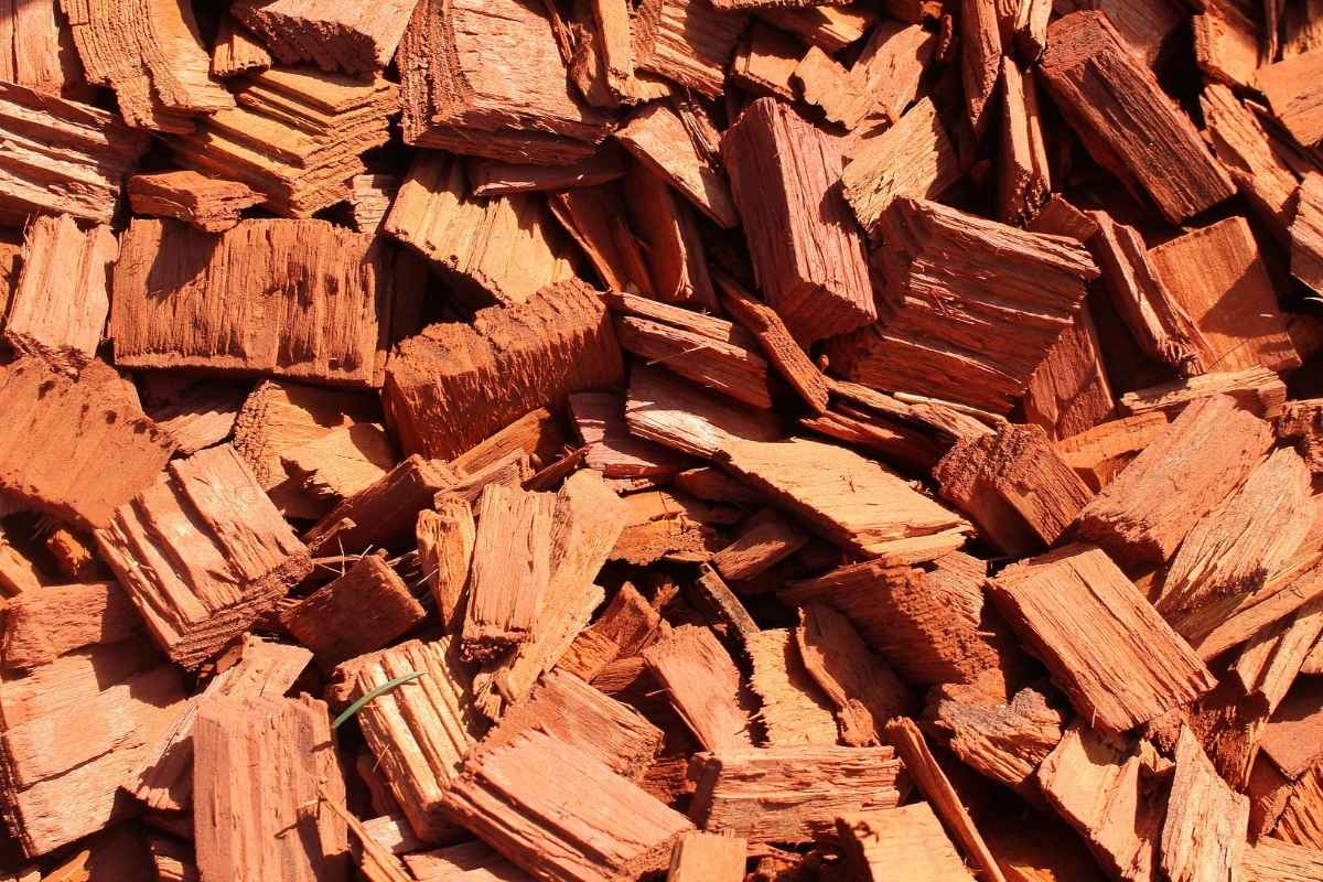 Fresh wood chips ready for mulching beds and paths