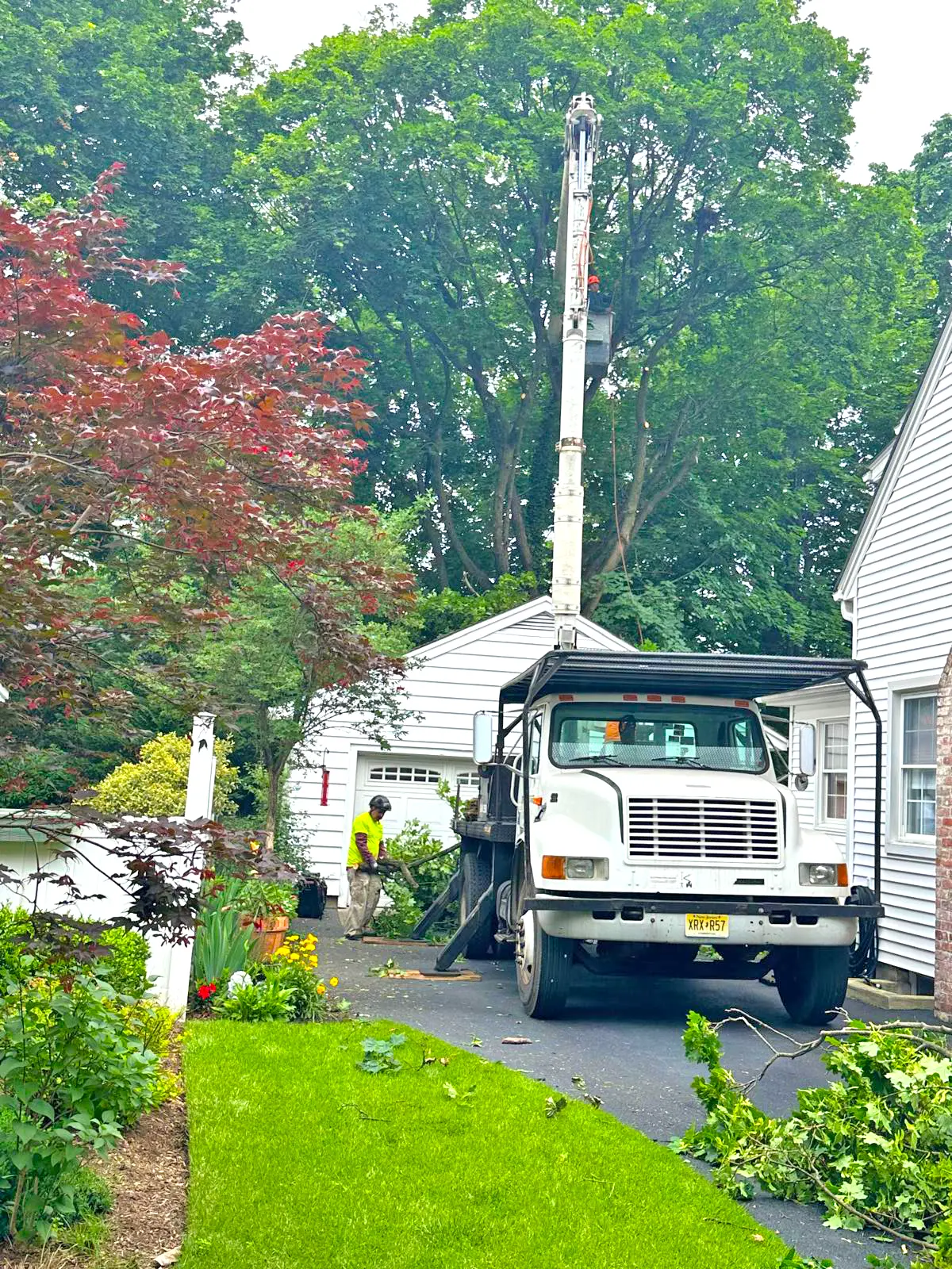 Cutting Edge Tree Service in Bergen County, NJ