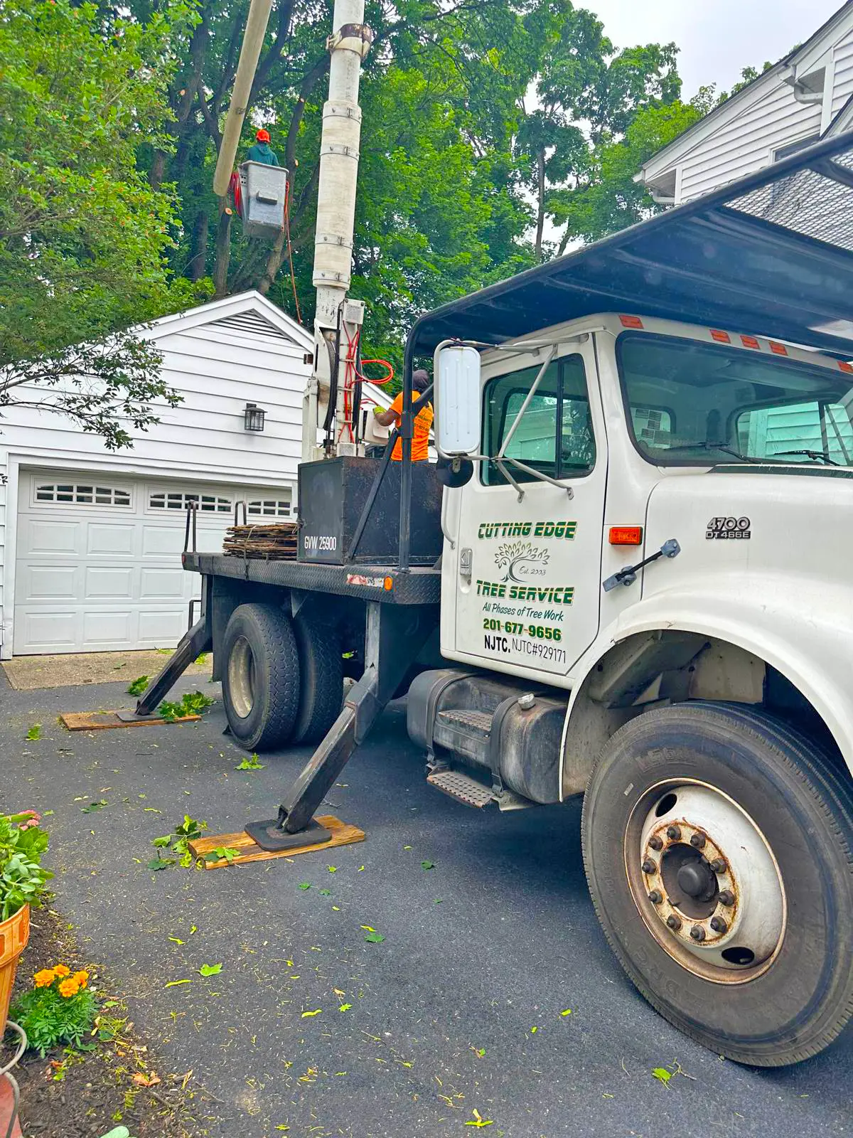 Cutting Edge Tree Service crew performing tree work in Bergen County, NJ
