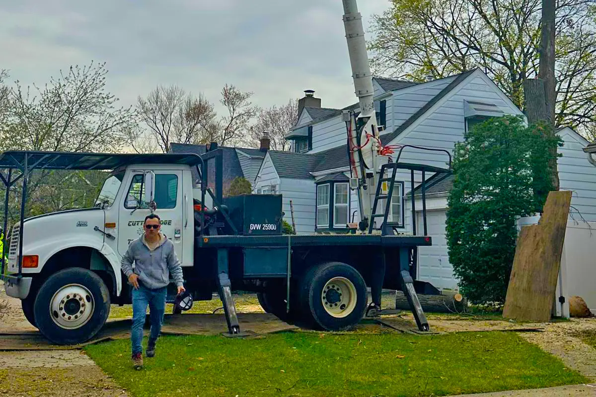 Cutting Edge Tree Service removing a tree in Bergen County, NJ